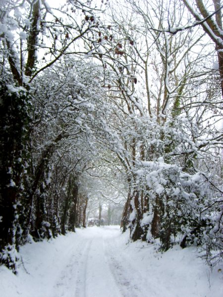 Raphaëlle, Agon-Coutainville sous la neige 0110