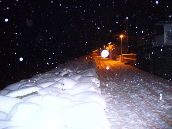 Raphaëlle, Agon-Coutainville sous la neige 0110